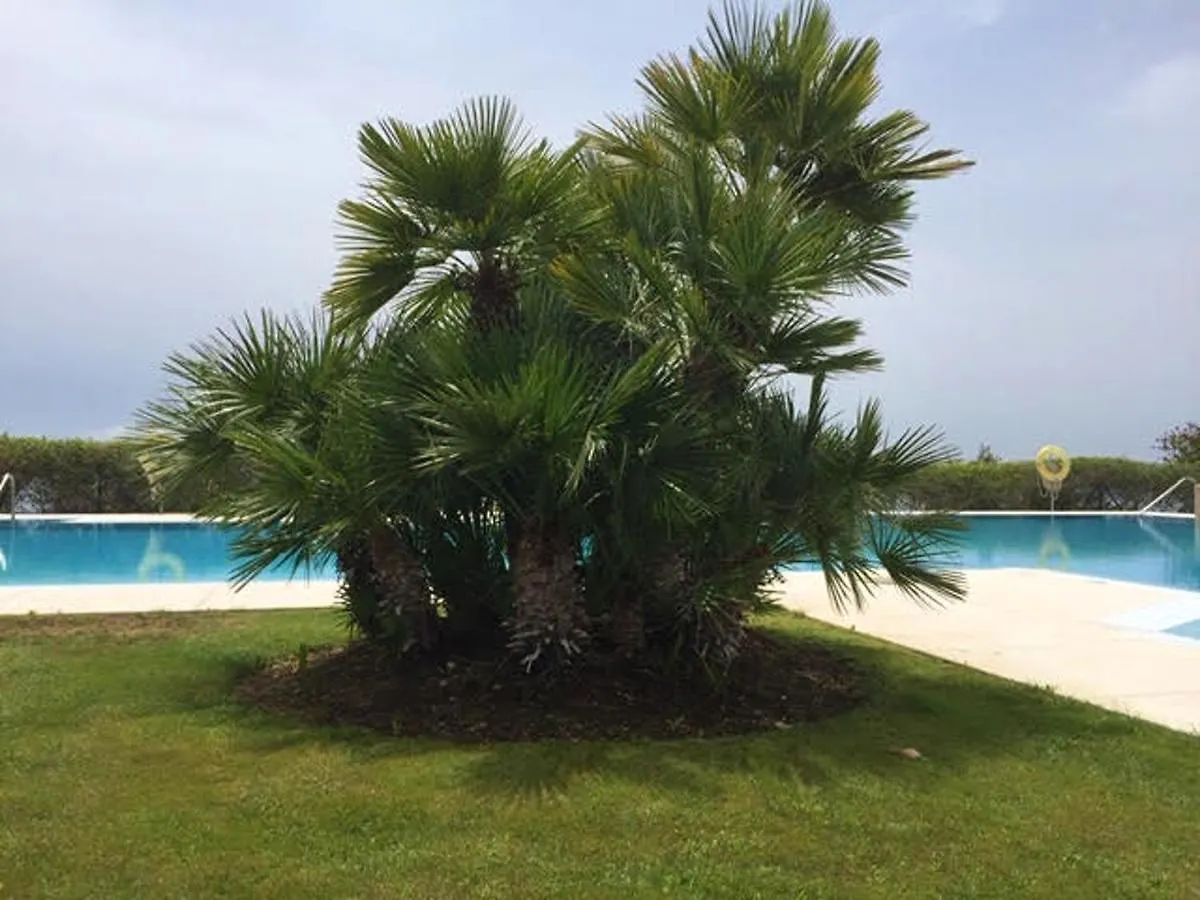 Apartment Calle Teide Benalmadena